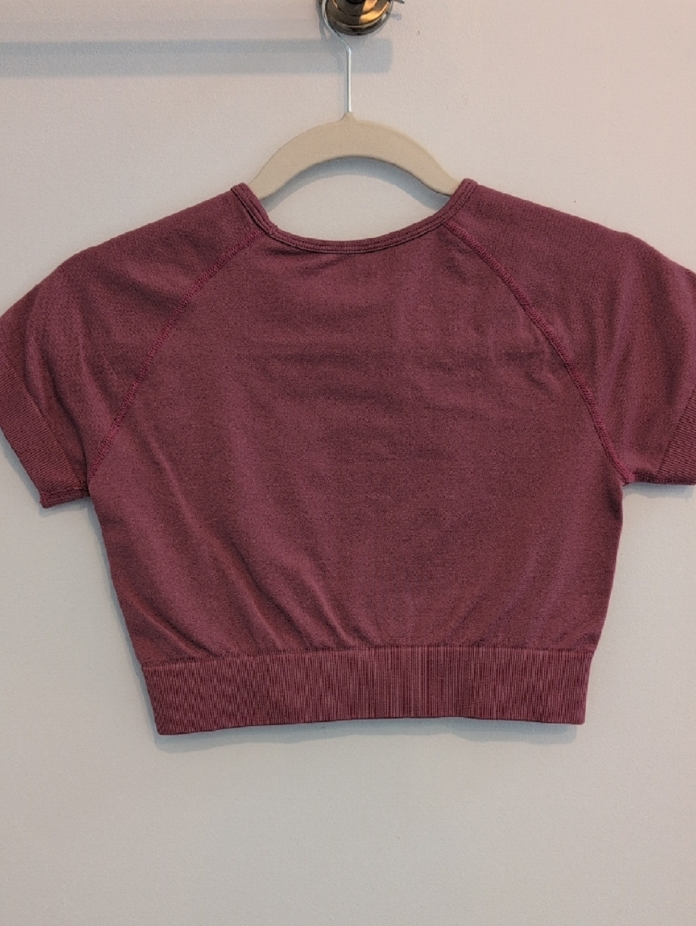 Seamless Short Sleeve Crop Workout Top - Mauve Pink - Picture 5 of 5
